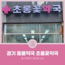 초롱꽃약국 이미지