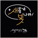 새빛 태권도 이미지