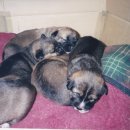 한라사료 이미지