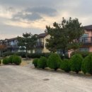 솔라티펜션 이미지