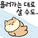 청정골수로집 이미지
