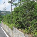 경재목장 이미지