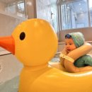 유니키즈펜션 이미지