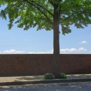 윤혜리정신건강의학과의원 이미지