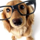 채운안경 이미지