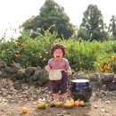 나래농장2 이미지