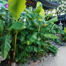 수종사 - 1085 | 운길산 수종사 등산코스 추천 후기 (주차장,화장실)