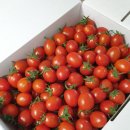 호윤농장 | 농장 브랜드 회사로고제작 진행, 광주광역시농업기술센터