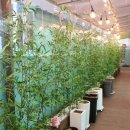 부산해물 이미지