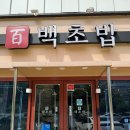 백초밥 로고