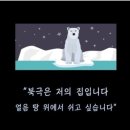 MIMI&CO | 2월 4주 북극 곰을 살리는 프랭키 램프인 MERCI MIMI의 바이 & 기브