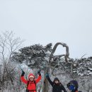 석탄박물관 관광안내소 이미지