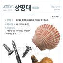 도토리미술학원
