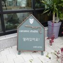 지선도예