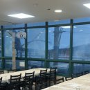 죽도집 | 포항 죽도시장 수율 가성비 좋은 “준돌이네” 솔직한 후기