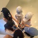 전시기획매개자 양성교육 후기_약 3달 간의 대장정을 마치며