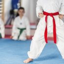 대화키즈태권도 이미지