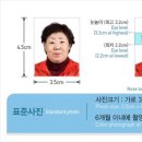 구미시청 이미지