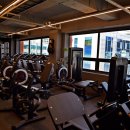 복싱인사이드 헝크짐 이미지