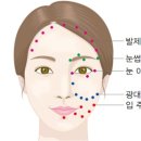 오장육부 이미지