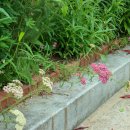 가야2리 이미지