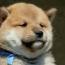 땡