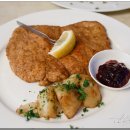 쉐프마일리오스트리아 이미지