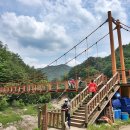 여주-0145 Daum카페
