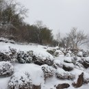 노루마당 이미지