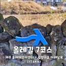 대천동 강정아왜낭목 | 올레길 7코스 제주 올레여행자센터 ~ 월평마을 아왜낭목 (17.6Km)