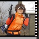 남산건강원 - 괴산군 읍내로 309 | 남산건강원