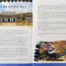 용주사효행박물관 이미지