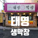 원조동부막창 | 마산 막창 맛집 종결자! [태영 생막창]에서 맛본 &#39;진짜&#39; 막창의 감동! 👑🔥