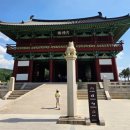 징검다리8 | 경주 월정교 후기 낮에도 예뻤던 경주 산책 명소