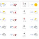 석촌초등학교 이미지