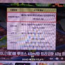 트라코마(영양제)와 루브스(촉진제) 이미지