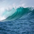 (단기)블로그마케팅 이미지