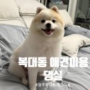 댕실 이미지