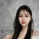 브로시스 이미지