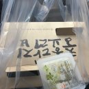 경주여행 2일차 : 비 오는 날 방문한 곳들