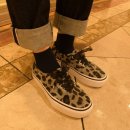 VANS 이미지