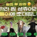 만남농장 이미지