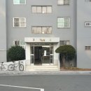 하단동1161 이미지