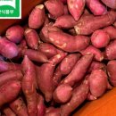 금호농장 이미지