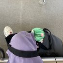 에버랜드 퇴사자의 &lt;트래픽 빅데이 후기&gt;