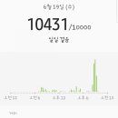 내죽도공원 이미지