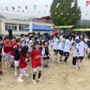 도산초등학교 이미지