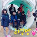 미로흑염소농장 이미지