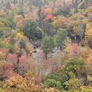 펜실바니아 주, 중 북부 Loyalsock State Fores-김세현 이미지