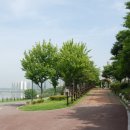 시화호수로 이미지